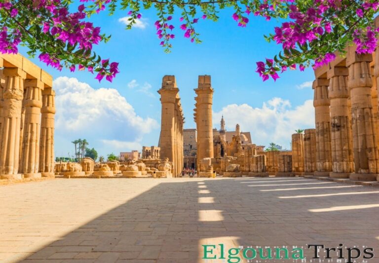 Luxor full day tour from Hurghada: Book Online to see the grand ancient columns of Luxor Temple under a bright blue sky framed by vibrant pink flowers.