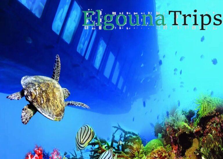 Sea turtle swimming near a colorful coral reef with an El Gouna Trips semi-submarine in the background in Hurghada.