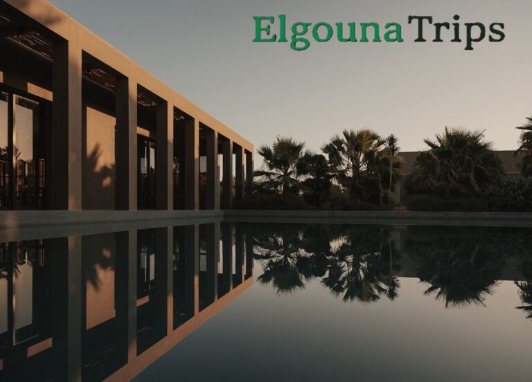 Casa Cook El Gouna luxurious reflection pool surrounded by palm trees and modern architectural lines at sunset.