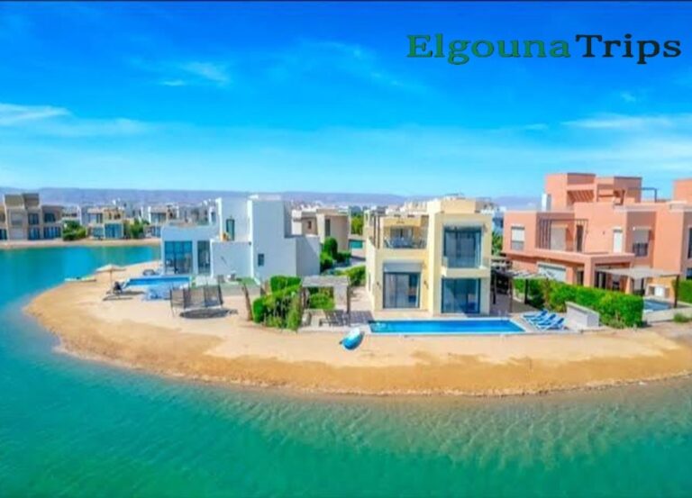 Spa & Trips from Tawila El Gouna wellness and tour booking